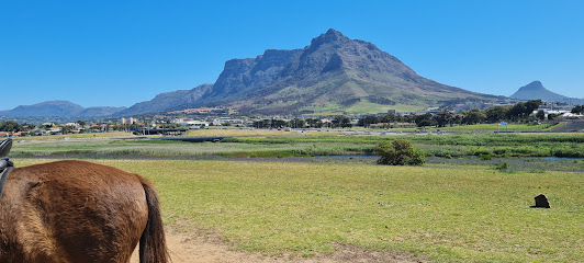 Oude Molen Eco Village green meadow with grazing horse and mountain