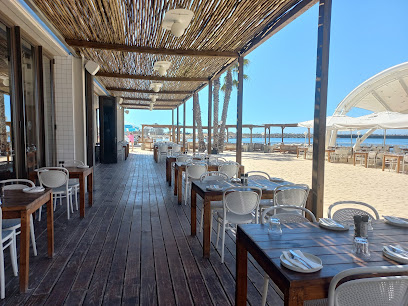 Cabo Beach terrace with set tables overlooking sandy beach and ocean