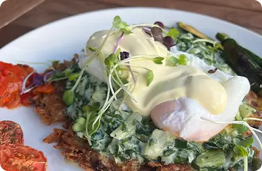 Poached eggs with hollandaise over creamed spinach on crispy potato cake, microgreens, roasted tomatoes